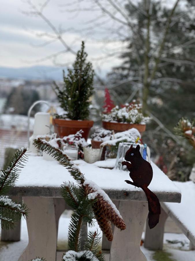 Farmhouse Eckartsberg Im Zittauer Gebirge - Ferienwohnung Mit 2 Schlafzimmern, Terrasse Und Wallbox Mittelherwigsdorf Dış mekan fotoğraf